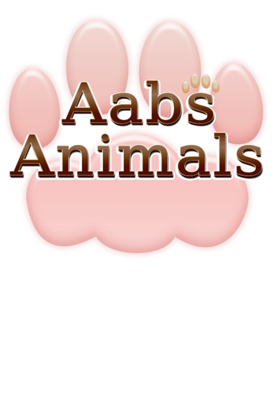 Front Cover for Aabs Animals (Xbox One) (download release)