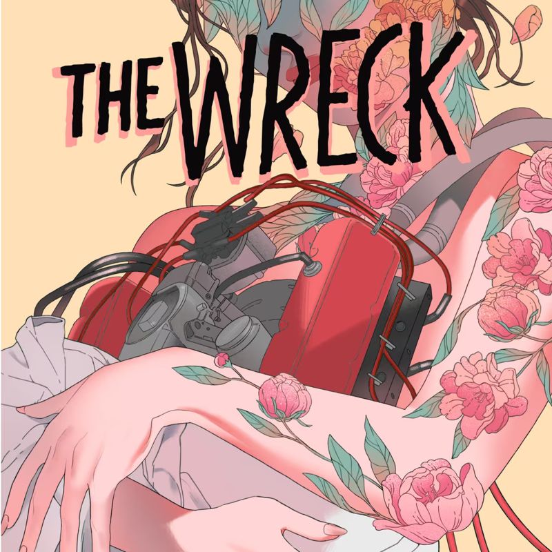 Front Cover for The Wreck (PlayStation 4 and PlayStation 5) (download release)