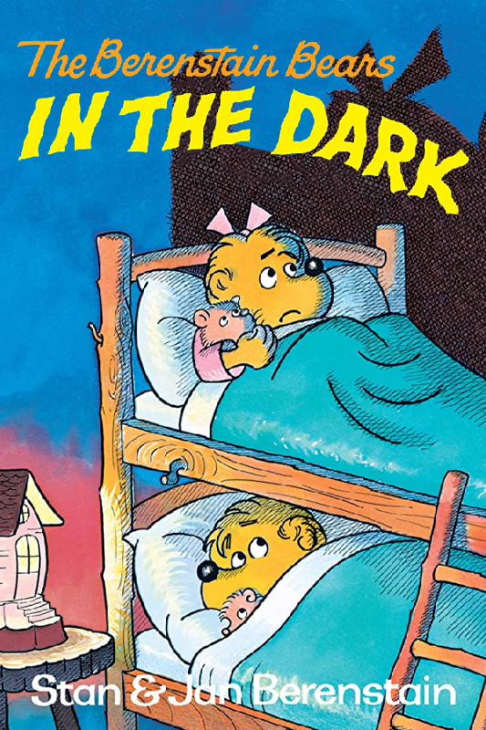 Front Cover for The Berenstain Bears in the Dark (Windows) (Zoom Platform release)