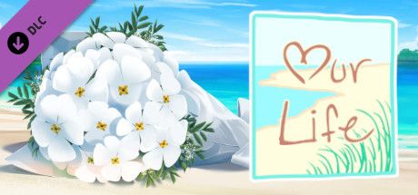 Front Cover for ​Our Life: Beginnings & Always - Cove Wedding Story (Linux and Windows) (Steam release)