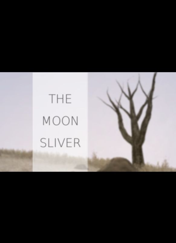 Front Cover for The Moon Sliver (Windows) (Desura release)