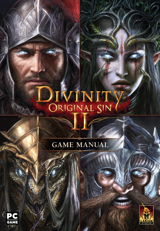Manual for Divinity: Original Sin II (Windows) (Steam release): Front