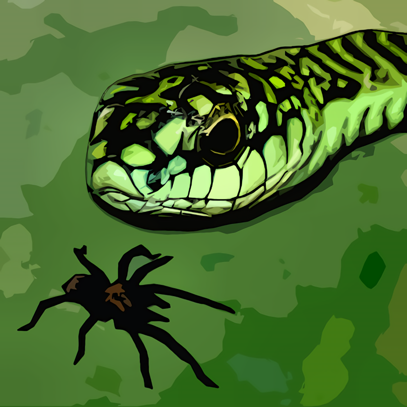 Front Cover for Tarantula vs Snake (iPhone)