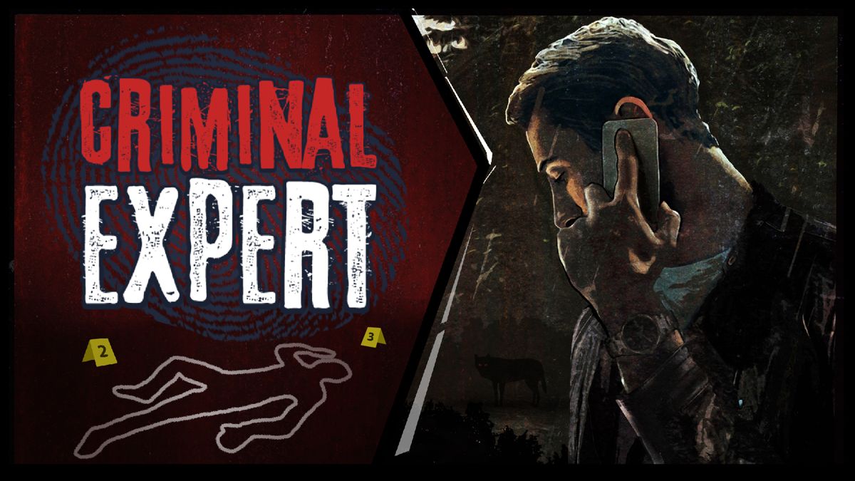 Front Cover for Criminal Expert (Nintendo Switch) (download release)