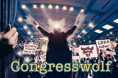 Front Cover for Congresswolf (Windows)