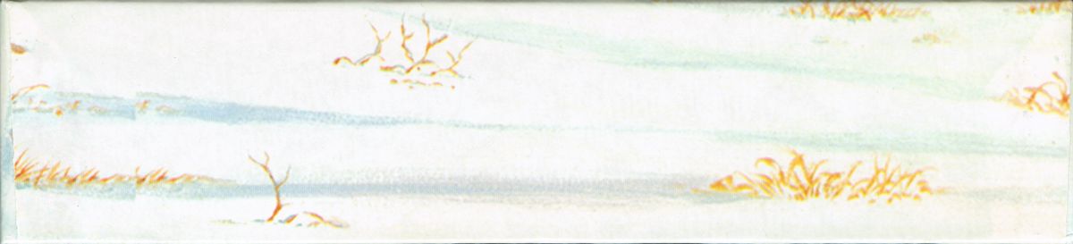 Spine/Sides for Might and Magic VI: The Mandate of Heaven (Windows): Back - Bottom