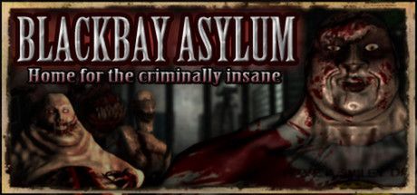 Front Cover for Blackbay Asylum: Home for the Criminally Insane (Windows) (Steam release)