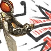 Front Cover for Fly Fu (PSP and PlayStation 3) (download release)