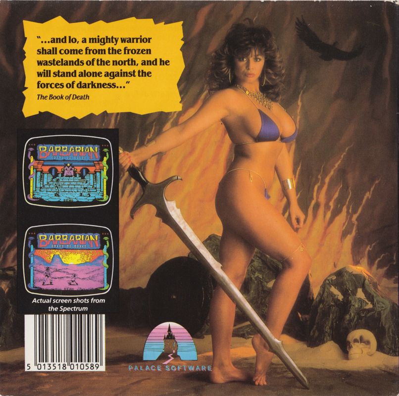 Back Cover for Death Sword (ZX Spectrum)