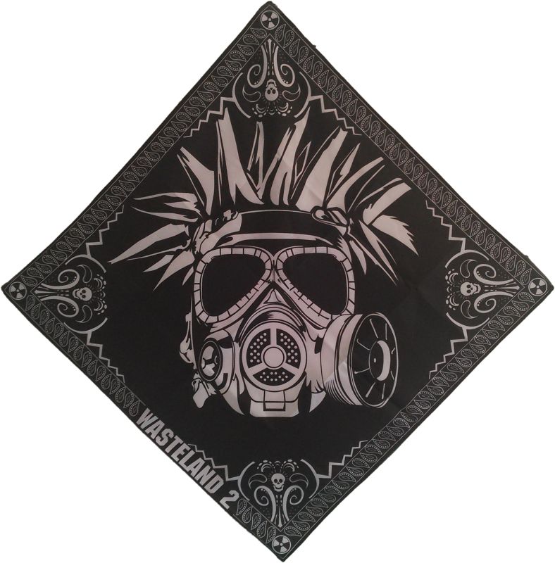 Extras for Wasteland 2: Director's Cut (Limited Edition) (Linux and Macintosh and Windows): Flag