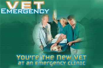 Front Cover for Vet Emergency (Windows) (Legacy Games release)