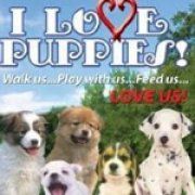 Front Cover for I Love Puppies! (Windows) (Harmonic Flow release)