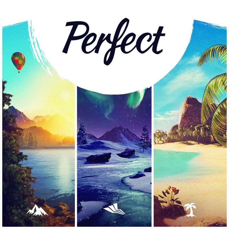 Front Cover for Perfect (PlayStation 4) (download release)