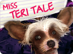 Front Cover for Miss Teri Tale: Episode I - Where's Jason (Windows) (Deutschland spielt release)