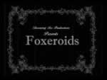 Front Cover for Foxeroids (Windows)