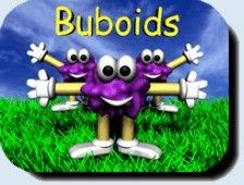 Front Cover for Buboids: The 3D Action Puzzle Game (Windows)