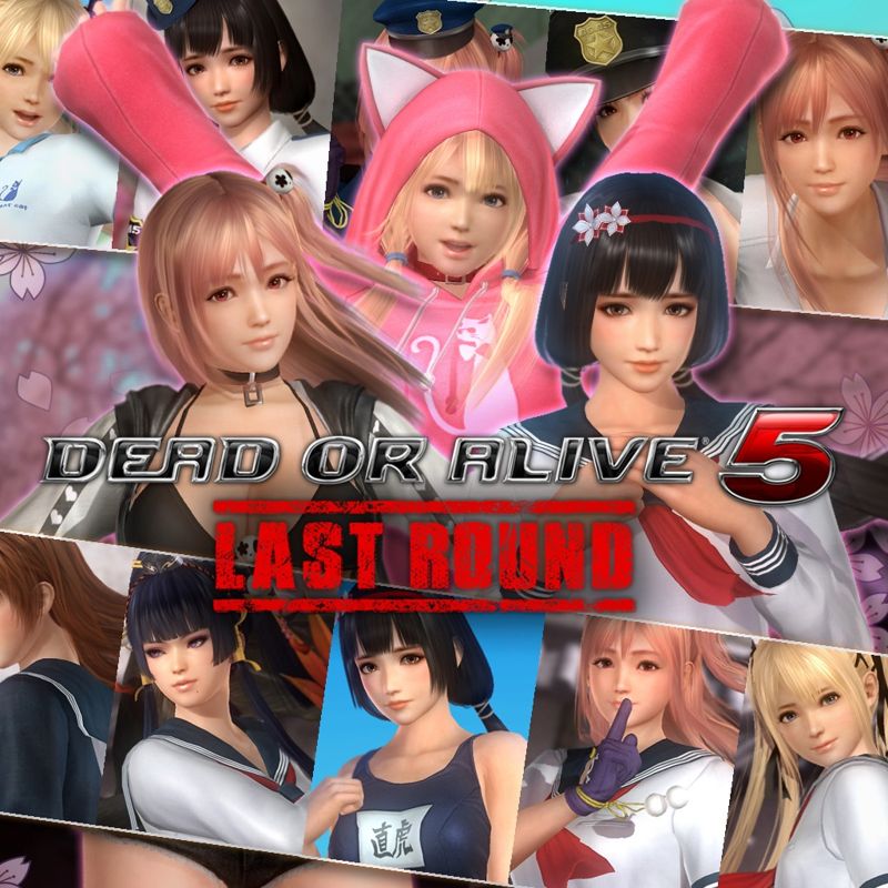 Front Cover for Dead or Alive 5: Last Round - Newcomer Set (PlayStation 4) (download release)