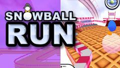 Front Cover for Snowball Run (Windows) (RealArcade release)