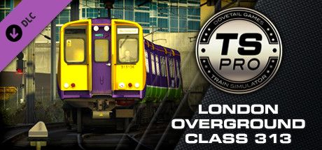 Front Cover for TS Pro: London Overground Class 313 (Windows) (Steam release)