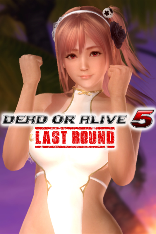 Dead Or Alive 5 Last Round Gust Mashup Swimwear Honoka And Liliana Cover Or Packaging Material 