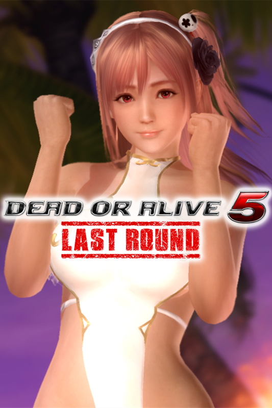 Dead Or Alive 5 Last Round Gust Mashup Swimwear Honoka And Liliana Cover Or Packaging Material 8784