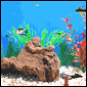 Front Cover for Fish Tycoon (Windows) (ArcadePod release)