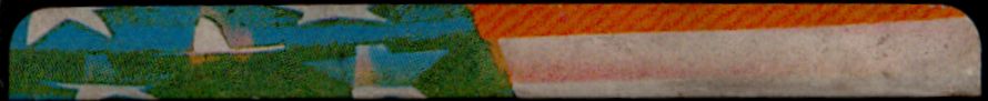 Media for World Cup USA 94 (Genesis): Spine