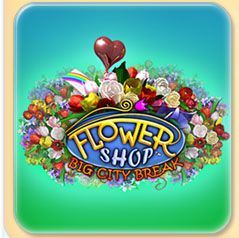 Front Cover for Flower Shop: Big City Break (Windows) (TikGames download release)