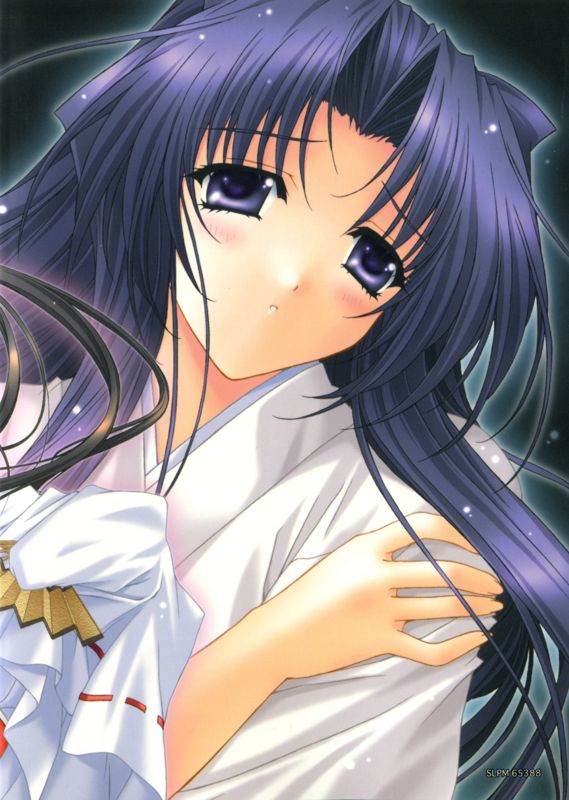 Extras for Lost Passage: Ushinawareta Issetsu (Shokai Genteiban) (PlayStation 2): Princess Magazine - Back