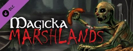 Front Cover for Magicka: Marshlands (Windows) (Steam release)