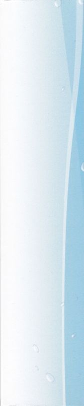Inside Cover for Senran Kagura: Peach Beach Splash (Girls of Paradise Edition) (PlayStation 4): Spine - Left / Right