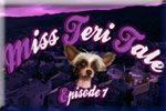 Front Cover for Miss Teri Tale: Episode I - Where's Jason (Windows) (iWin release)