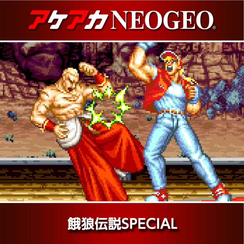 Front Cover for Fatal Fury Special (Nintendo Switch) (download release)