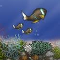 Front Cover for Fish Tycoon (Android)
