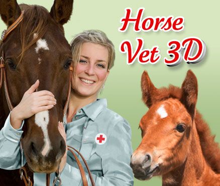 Front Cover for Horse Vet 3D (Nintendo 3DS) (download release)