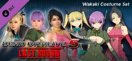 Front Cover for Dead or Alive 5: Last Round - Costumes by Tamiki Wakaki Set (Windows) (Steam release)