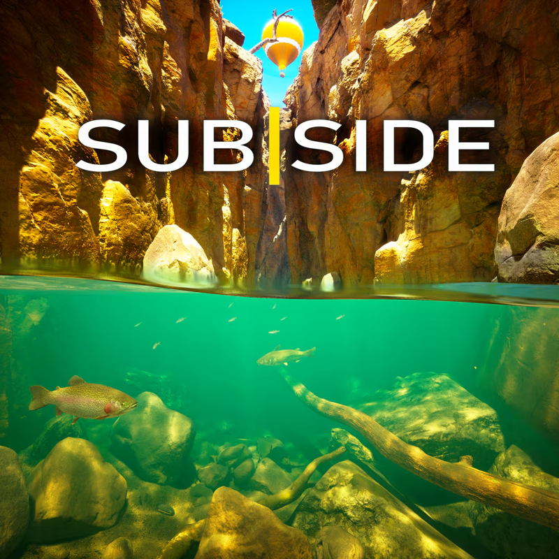 Subside Picture Subside cover or packaging material - MobyGames