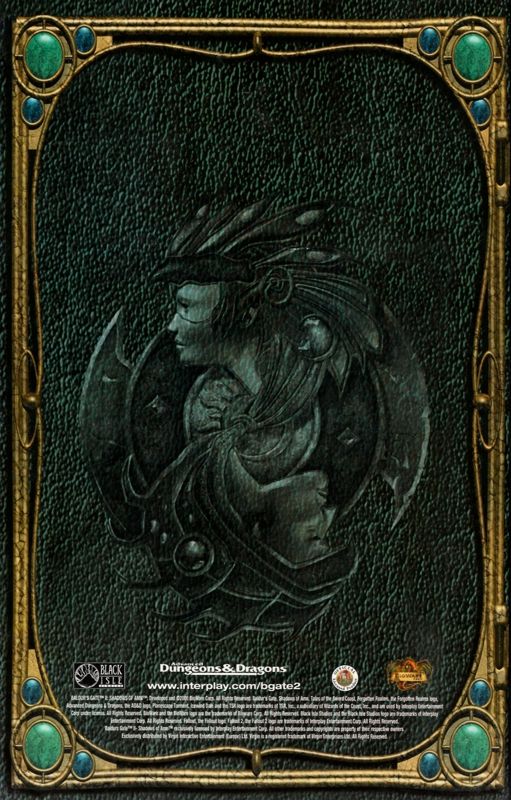 Manual for Baldur's Gate II: Shadows of Amn (Windows): Back