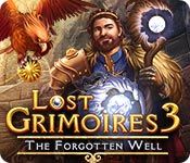 Front Cover for Lost Grimoires 3: The Forgotten Well (Macintosh and Windows) (Big Fish Games release)