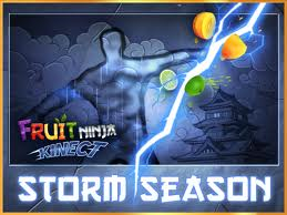 Fruit Ninja Kinect: Storm Season cover or packaging material - MobyGames