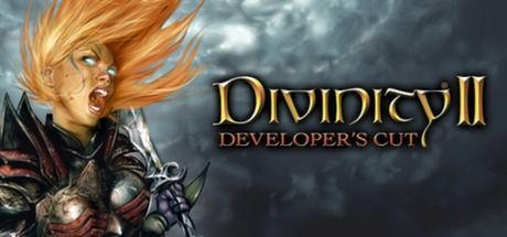 Front Cover for Divinity II: Developer's Cut (Windows) (Steam release)