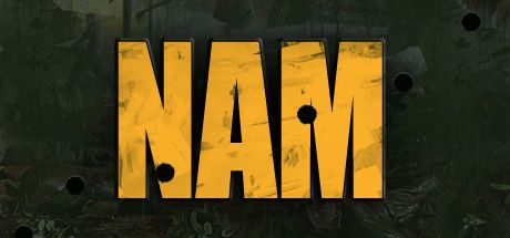 Front Cover for NAM (Linux and Macintosh and Windows) (Steam release)
