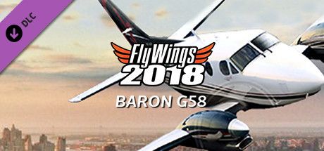 Front Cover for FlyWings 2018: Baron G58 (Linux and Macintosh and Windows) (Steam release)