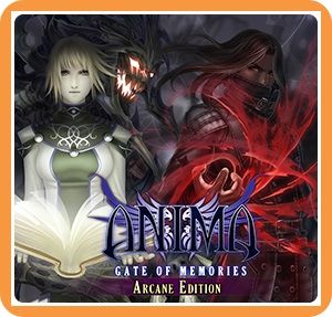 Front Cover for Anima: Gate of Memories - Arcane Edition (Nintendo Switch) (download release): 1st version