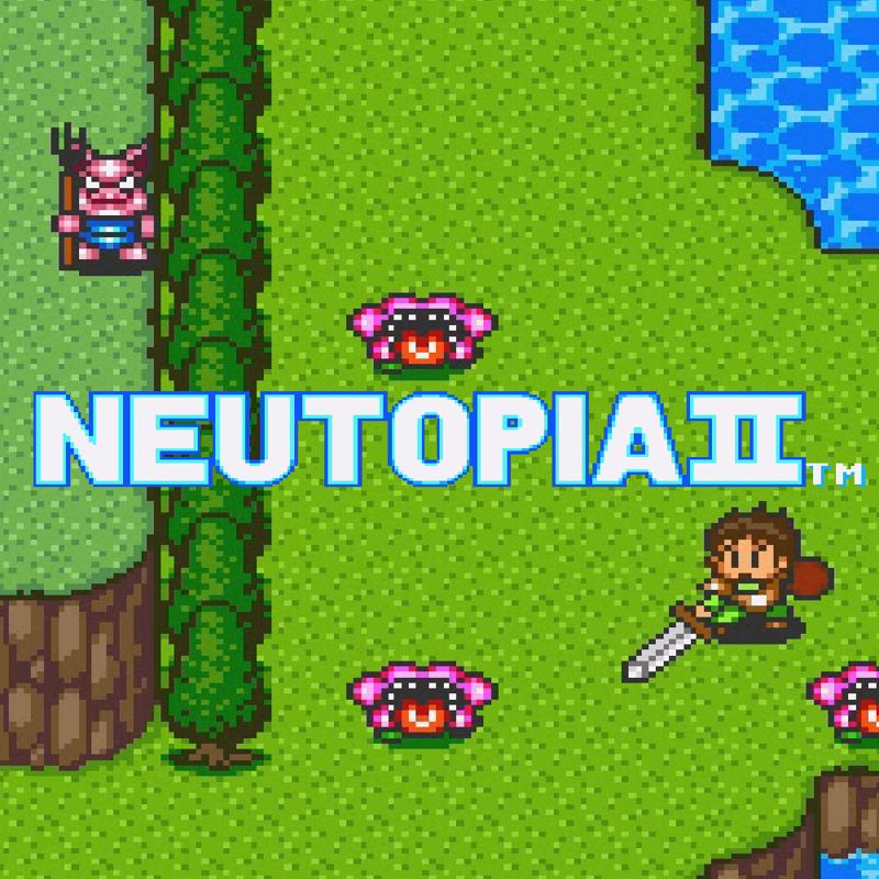 Front Cover for Neutopia II (Wii and Wii U) (download release)