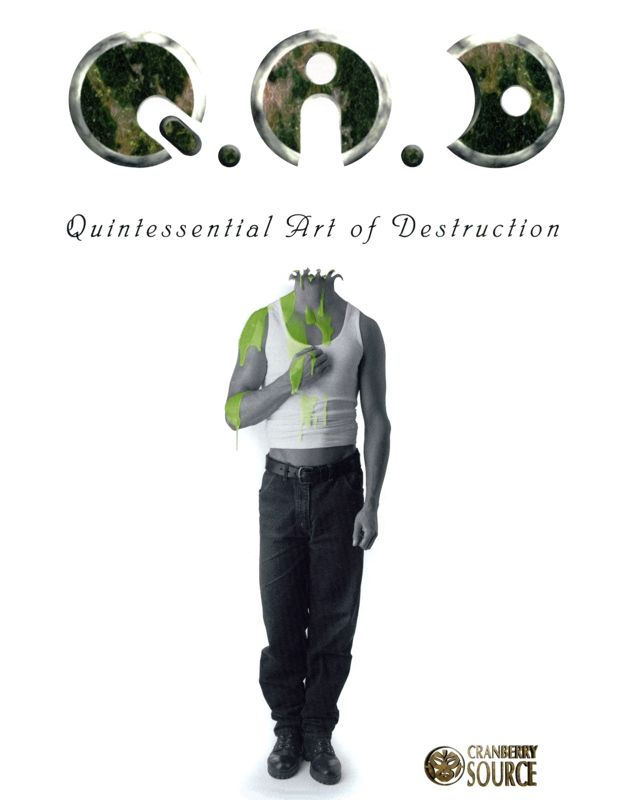 Front Cover for Q.A.D: Quintessential Art of Destruction (DOS)