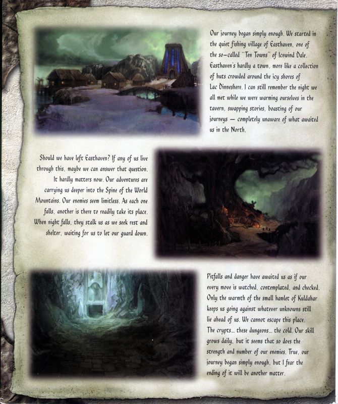 Inside Cover for Icewind Dale (Windows): Left Flap