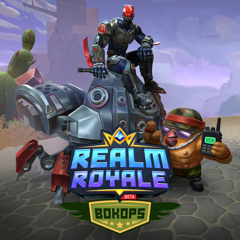 Front Cover for Realm Royale (Nintendo Switch) (download release)