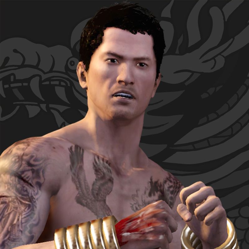 Front Cover for Sleeping Dogs: Martial Arts Pack (PlayStation 3) (PSN release)