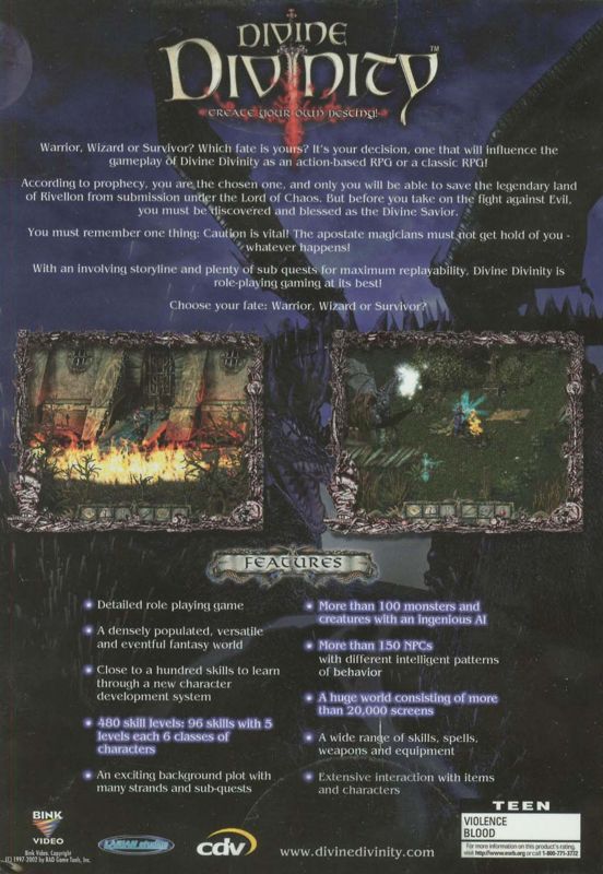 Back Cover for Divine Divinity (Windows)